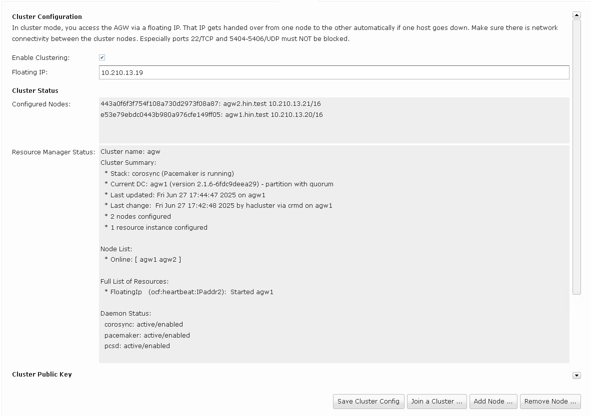 Cluster Übersicht mit zwei Devices (Online: agw1 agw2)