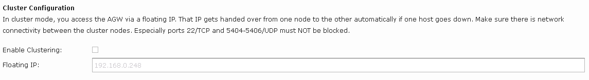 Die Cluster Option bleibt auf dem Slave Node deaktiviert