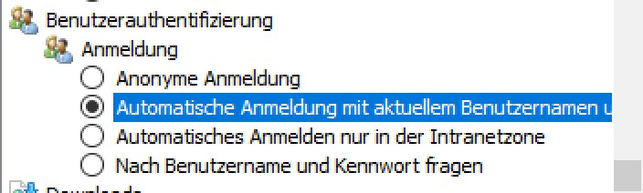 Automatische Anmeldung unter Internet Explorer